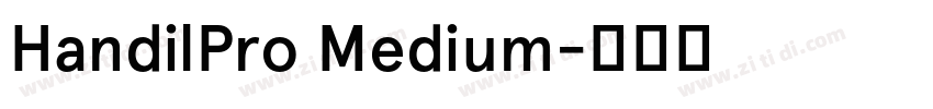 HandilPro Medium字体转换